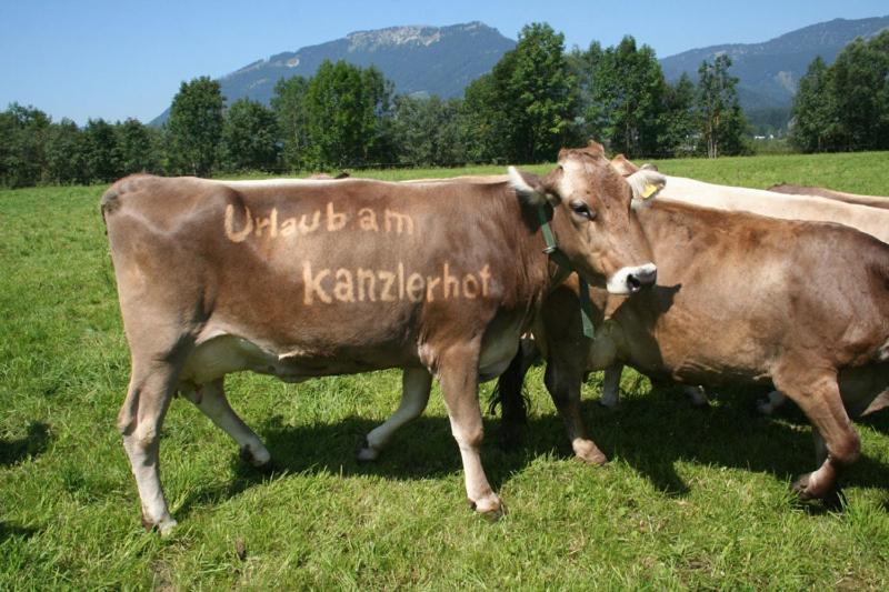 Kanzlerhof Bad Mitterndorf Bagian luar foto